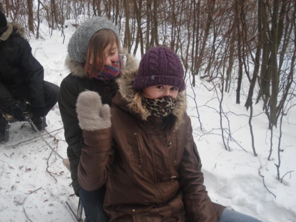Podczas kuligu (zima 2009/2010)