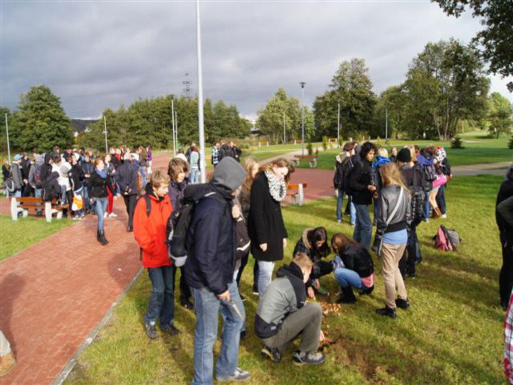 Podczas sadzenia kwiatów