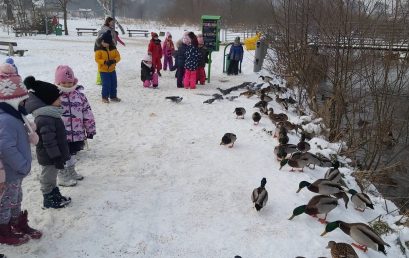 Przedszkolaki podczas spaceru do parku, bezpiecznie i mądrze dokarmiają ptaki w czasie zimy.
