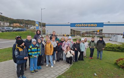 Klasa 2E na praktycznych, kreatywnych warsztatach pt.: „MAJSTERKOWO” w Castoramie.