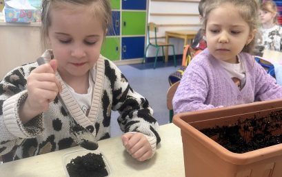 Zajęcia przyrodnicze