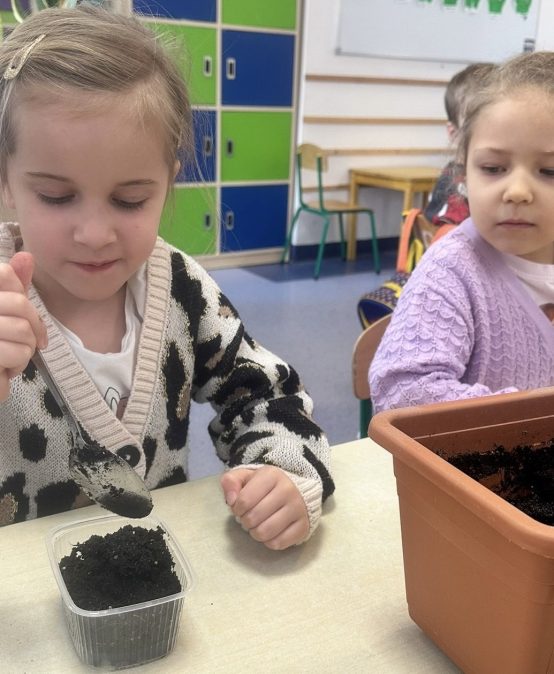 Zajęcia przyrodnicze