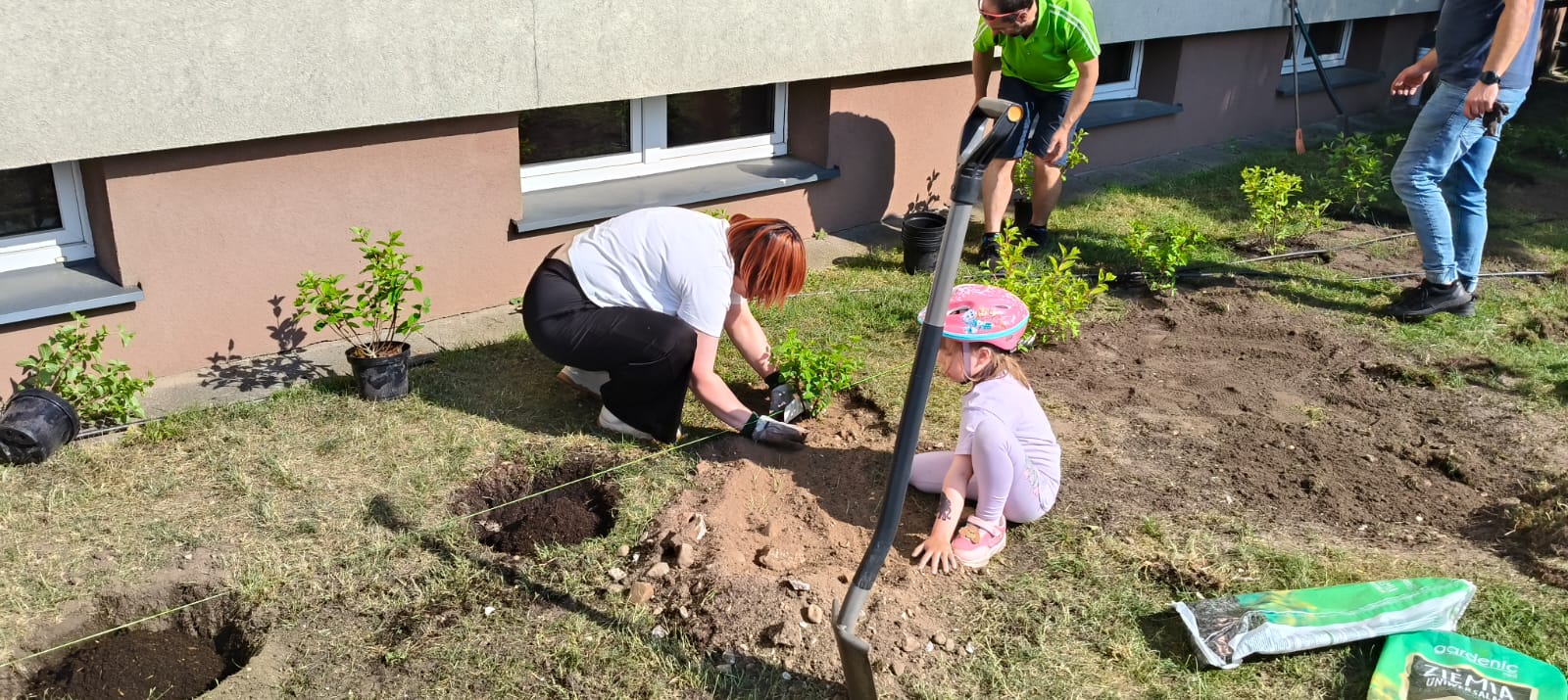 Hortensje przy naszej szkole już posadzone!